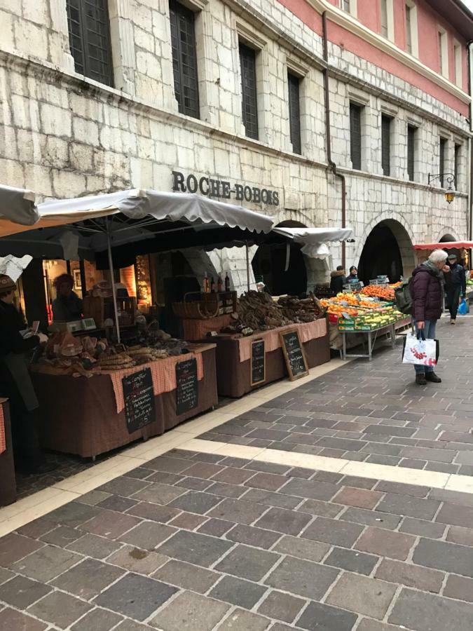 La Perle De La Vieille Ville D'Annecy Lägenhet Exteriör bild
